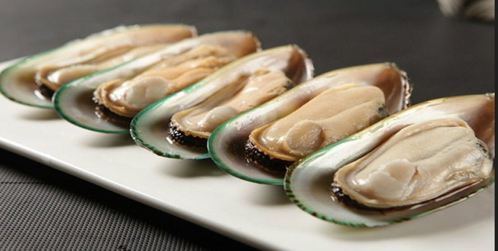 冷冻青口贝青口自助餐酒店烧烤火锅专用食材量大从优量大从优