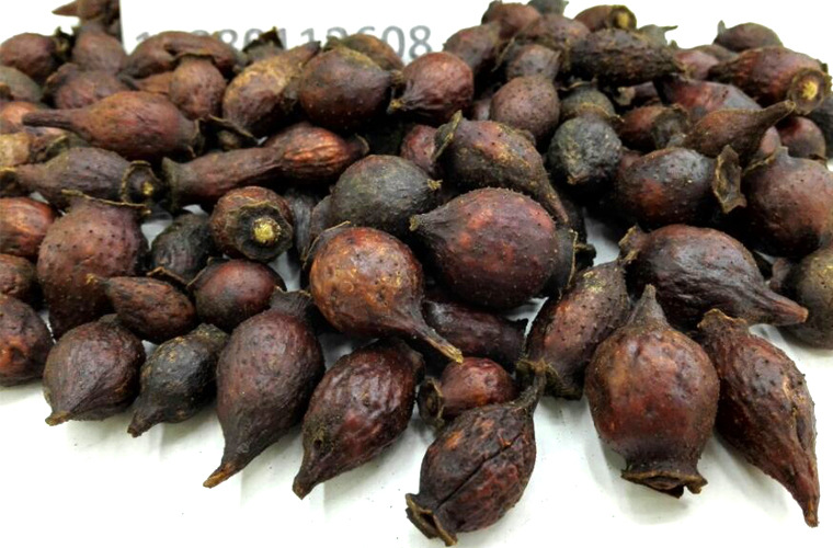 金樱子果统货散装批发刺榆山石榴产地直供刺梨子中药材批发