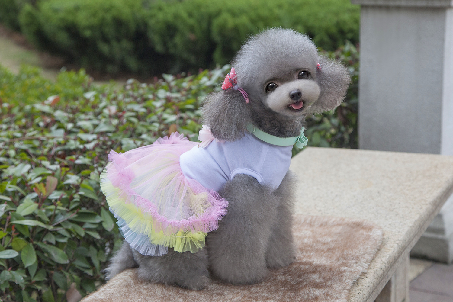 狗裙子 狗服装春夏 宠物衣服批发 狗衣服 泰迪狗裙子 五彩蛋糕裙