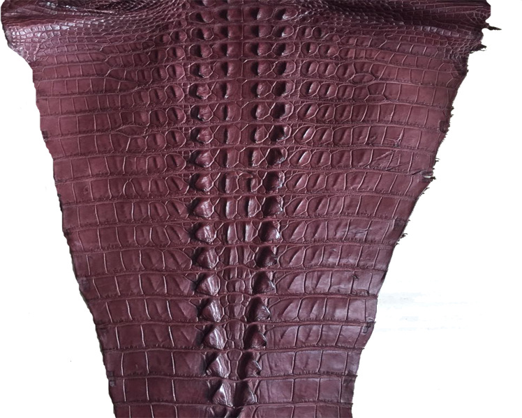 博畅真皮 高档时尚 真鳄鱼皮 花皮 厂价直销 批发