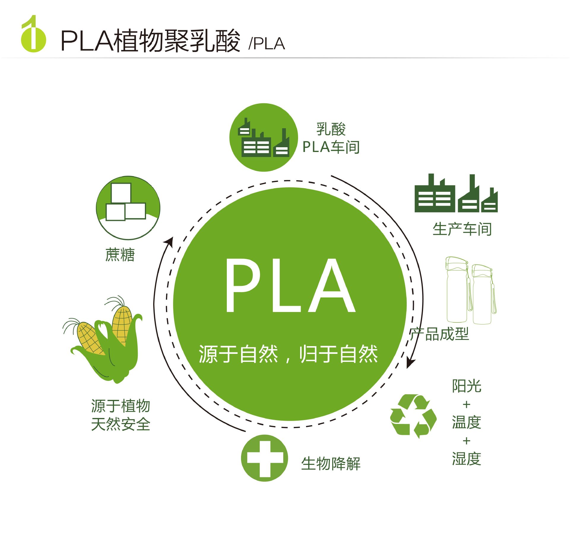 安易成聚乳酸植物材料大容量旋盖绳带便携环保可降解随身办公杯