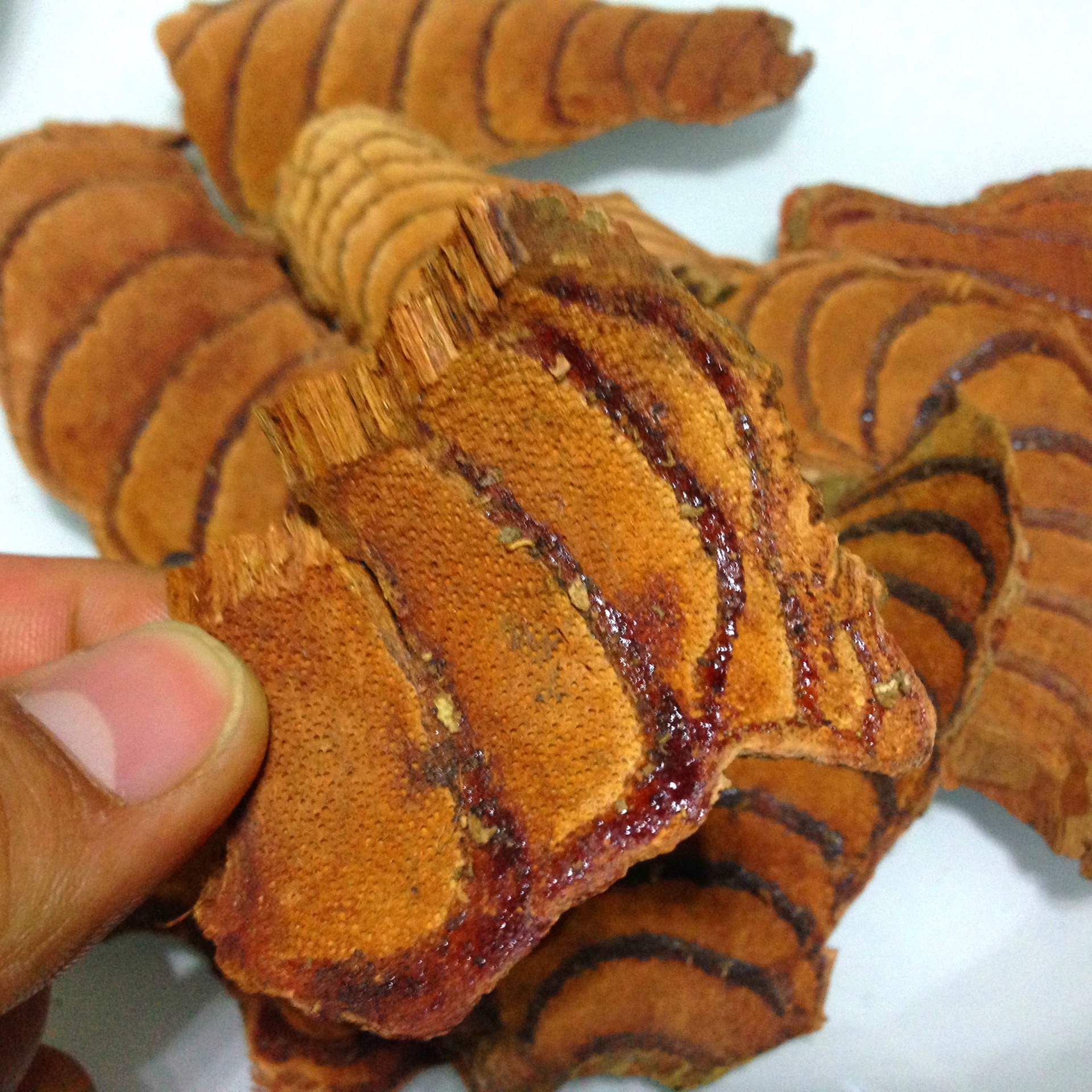 鸡血藤 中药材批发 血风藤 活血补血风湿痹痛