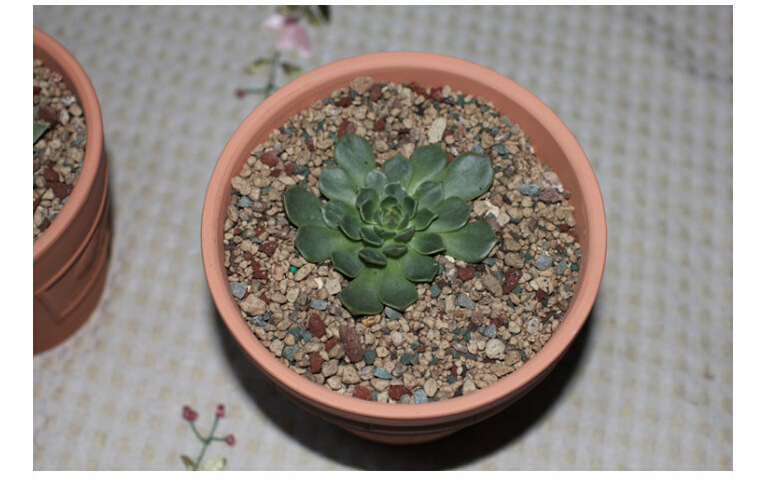 多肉植物园艺彩虹石 虹彩石彩色小石子花盆装饰 鱼缸用装饰摆件
