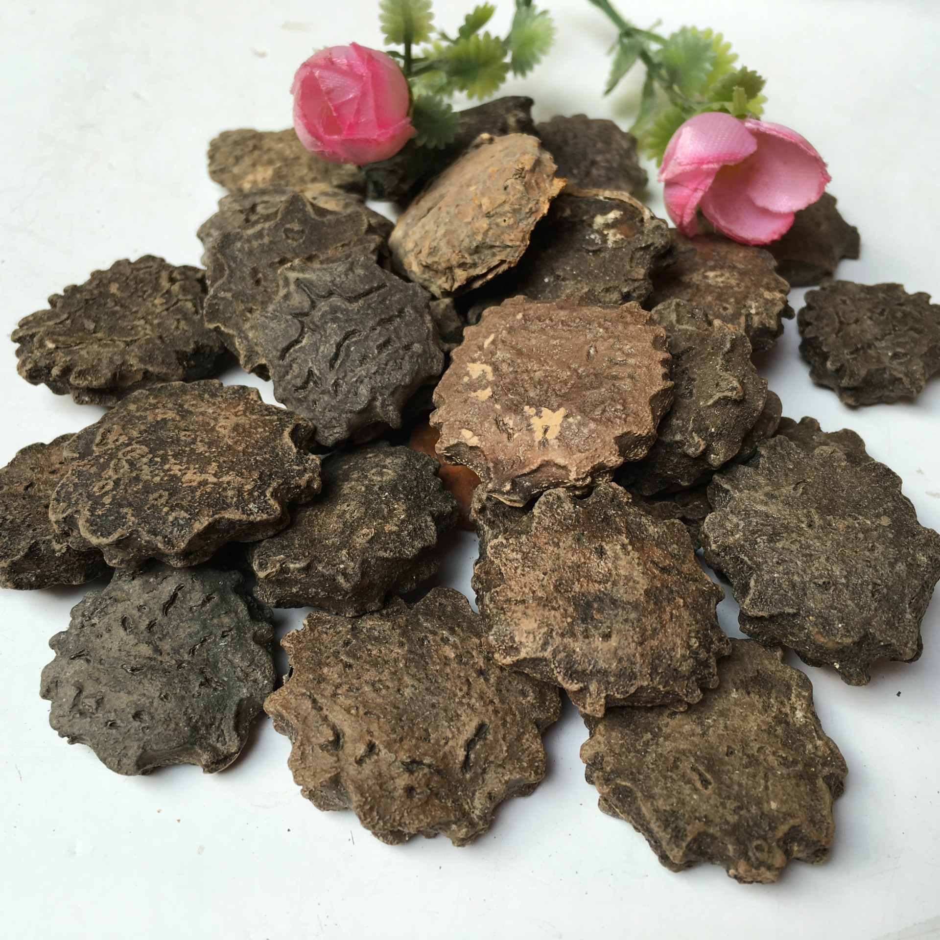 批发供应中药材 木鳖子 散装 漏苓子 木鳖子