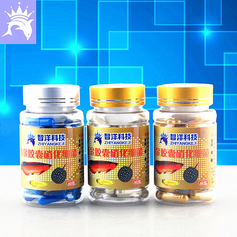 智洋水族 硝化细菌 水族观赏鱼药 魟鱼药 水质净水胶囊 60粒