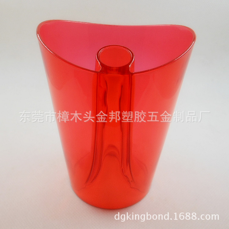 DSCN6335