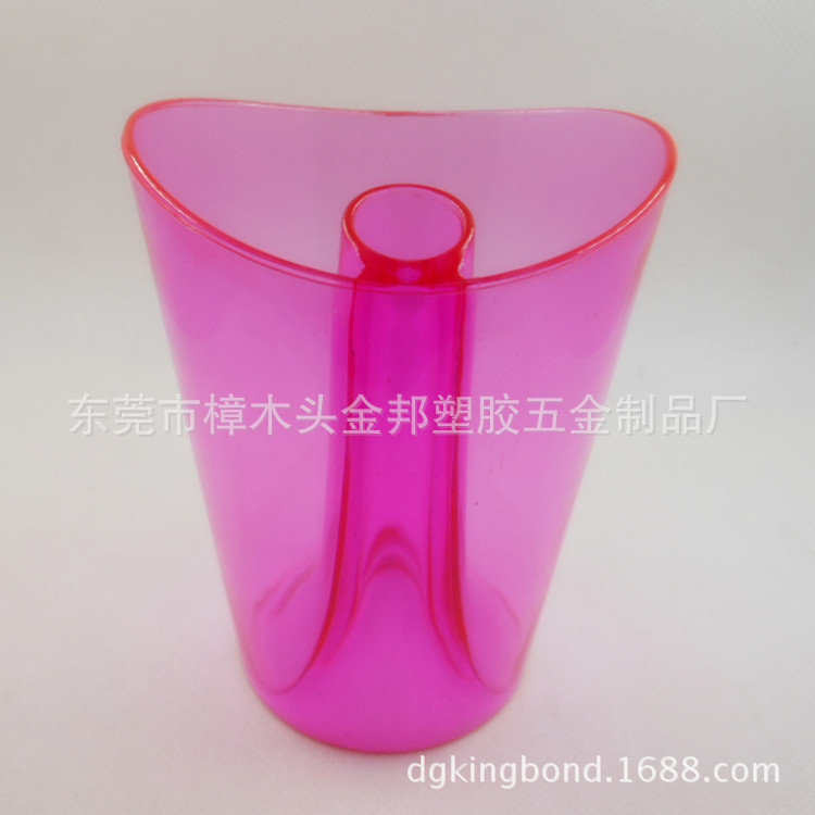 DSCN6333