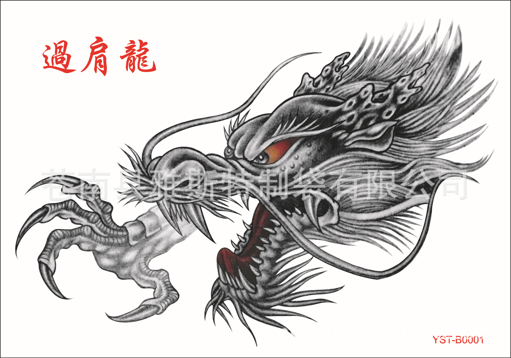 只狼寄鹰众_食狼鹰捕狼视频_鹰捕狼为何狼不咬啊
