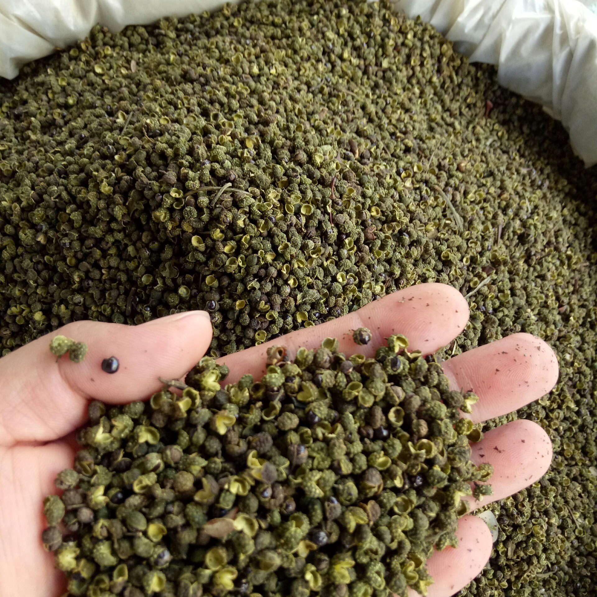 绿花椒麻椒现有大量高中低价位的现货供你选择欢迎选购