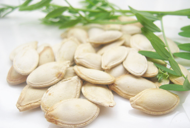 经销批发散装水煮咸味盐焗白南瓜子 角瓜子 葫芦籽 10kg/件