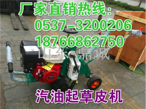 起草坪的机器 本田汽油草坪移植机 手推式起草皮机图片 牧草机械