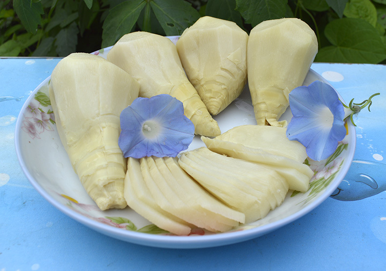 2016批发马蹄笋 新鲜马蹄笋水煮马蹄笋嫩香水煮笋福建