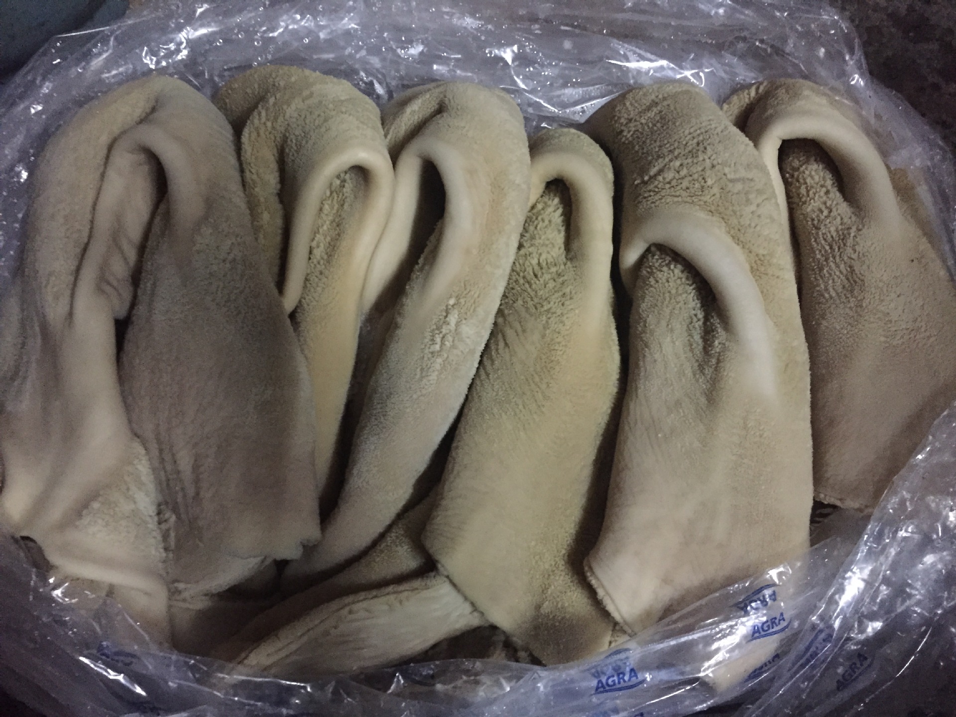 一级熟牛肚35元公斤新鲜冷冻半成品批发生牛鞭牛腩牛杂广东