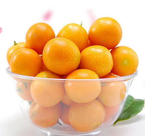 广西桂林 阳朔金桔 一级大果 金桔 新鲜水果 精品金桔 应.