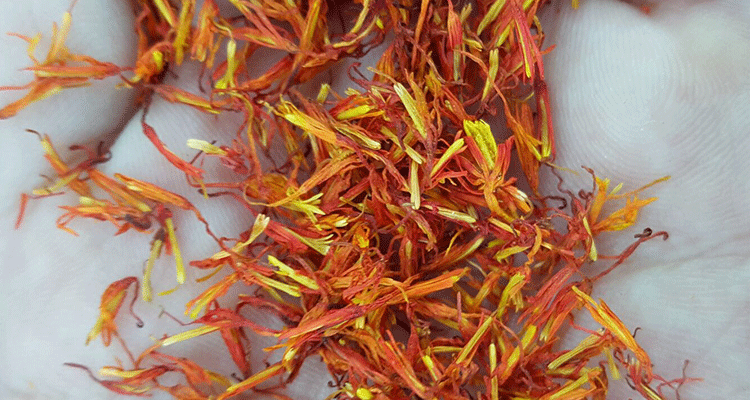 中药材批发优质新疆红花藏红花产地直销 净货无着色无硫 - 农药批发