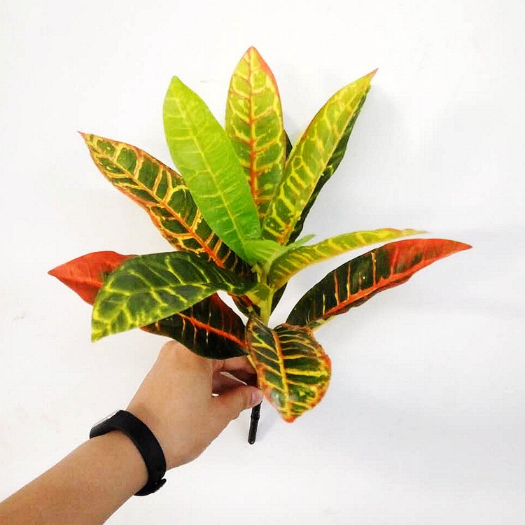 仿真植物墙配件洒金榕变色木盆景盆栽七彩树叶塑料装饰假花仿真花