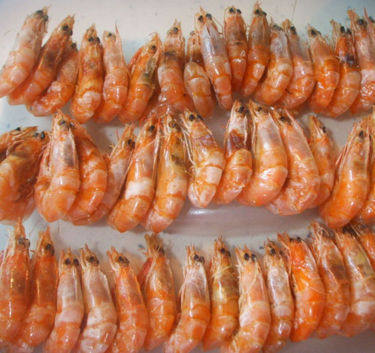 厂家直销 红虾海虾 海产 渤海湾纯野生海水红虾 肉质鲜美欢迎选购