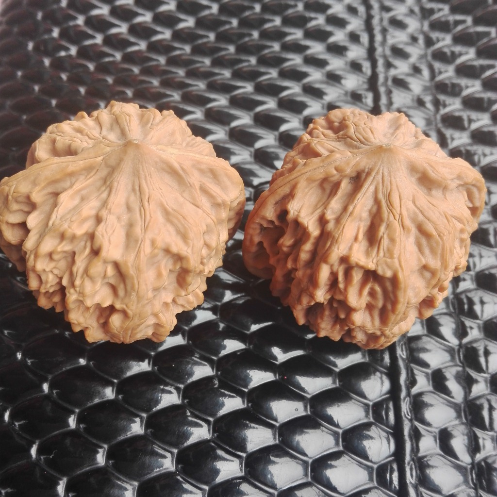 野生 font color=red>官帽 /font>王虎狮子头 font color=red>陕西 