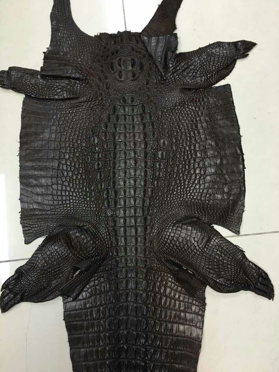 优质a级暹罗鳄鱼皮料 整张暹罗鳄鳄鱼皮高