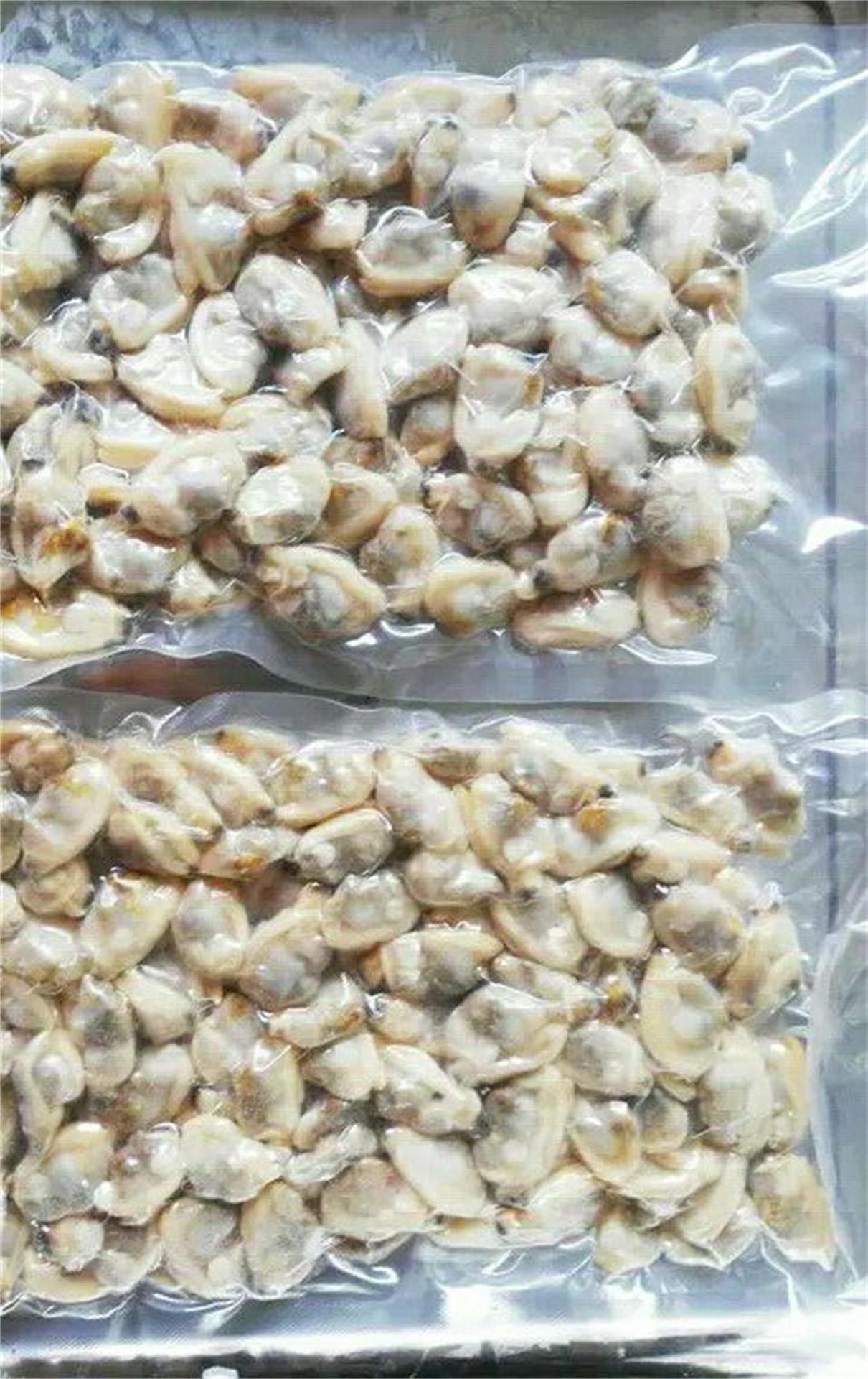 青岛特产新鲜冷冻蛤蜊肉 单冻蛤蜊肉 花蛤肉 400g 促销价