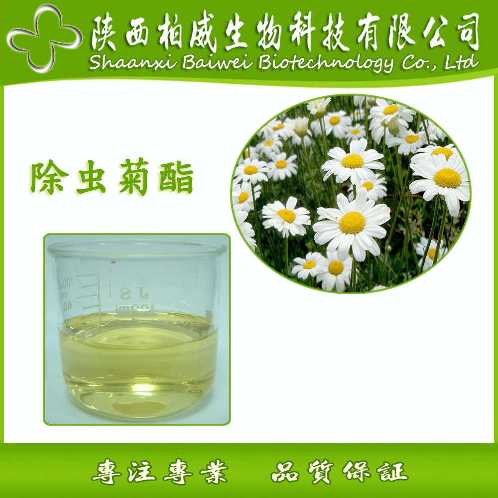 除虫菊酯 50% 除虫菊提取物 25% 50% 欢迎咨询 量大优惠 品质保证