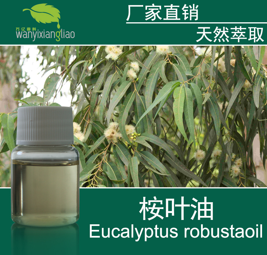 厂家直供桉叶油 尤加利油eucalyptus oilcas no.470-82-6植物精油