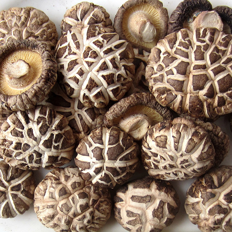 【广州土特产】_广州土特产厂家_广州土特产批发市场