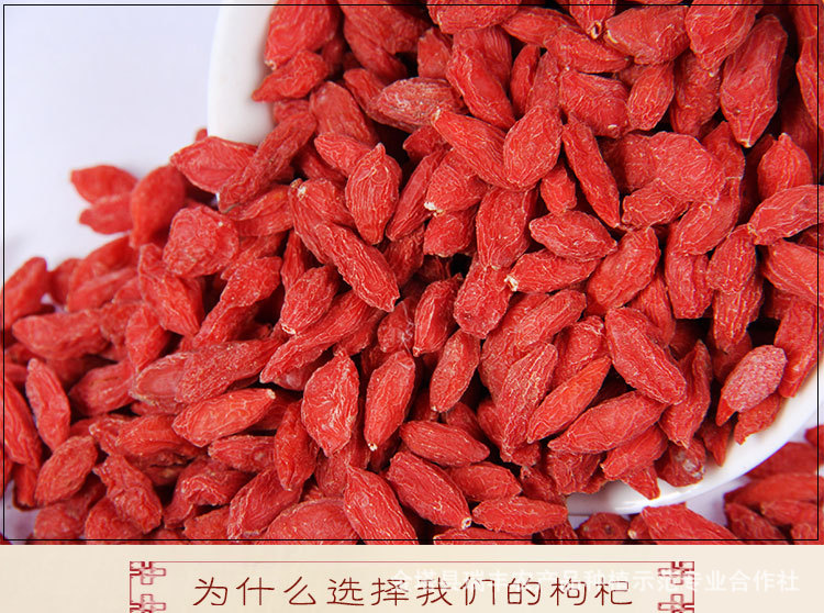 特级精选枸杞子甘肃正品枸杞 中药材厂家直销 阿胶糕配料0
