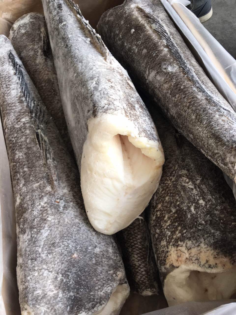 银鳕鱼银鳕鱼法国银鳕鱼