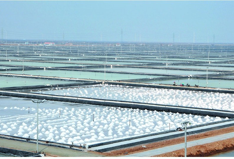 日晒矿盐 大颗粒 氯化钠含量96% 工厂直销