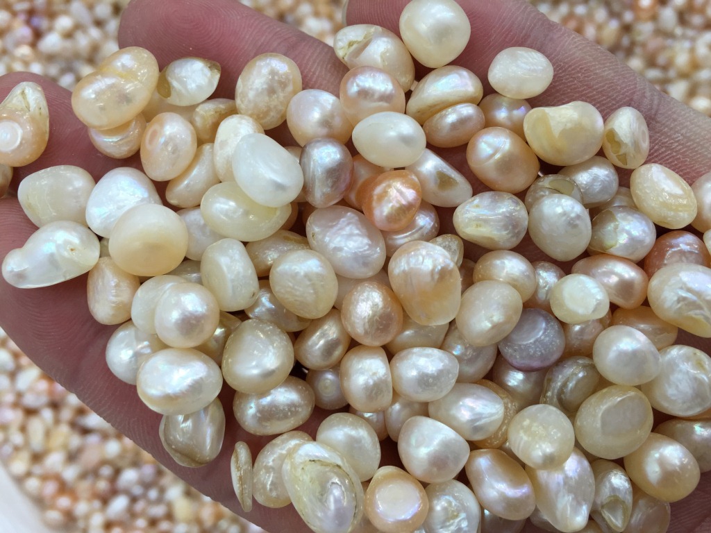 跑江湖地摊产品批发 北海珍珠 珍珠项链 送录音