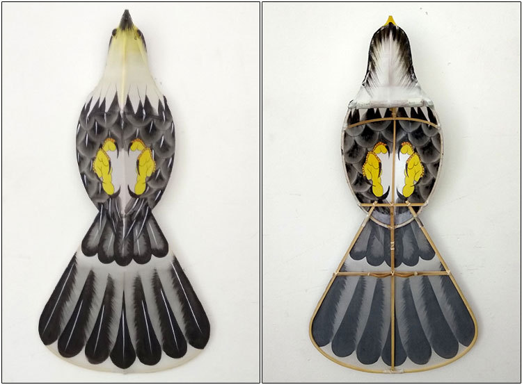 盘鹰风筝 优质纯手工盘鹰 撕不烂纸合竹盘鹰 手工制作初学者盘鹰