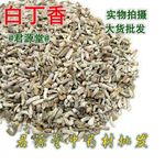 丁香丁香中药色英长图片