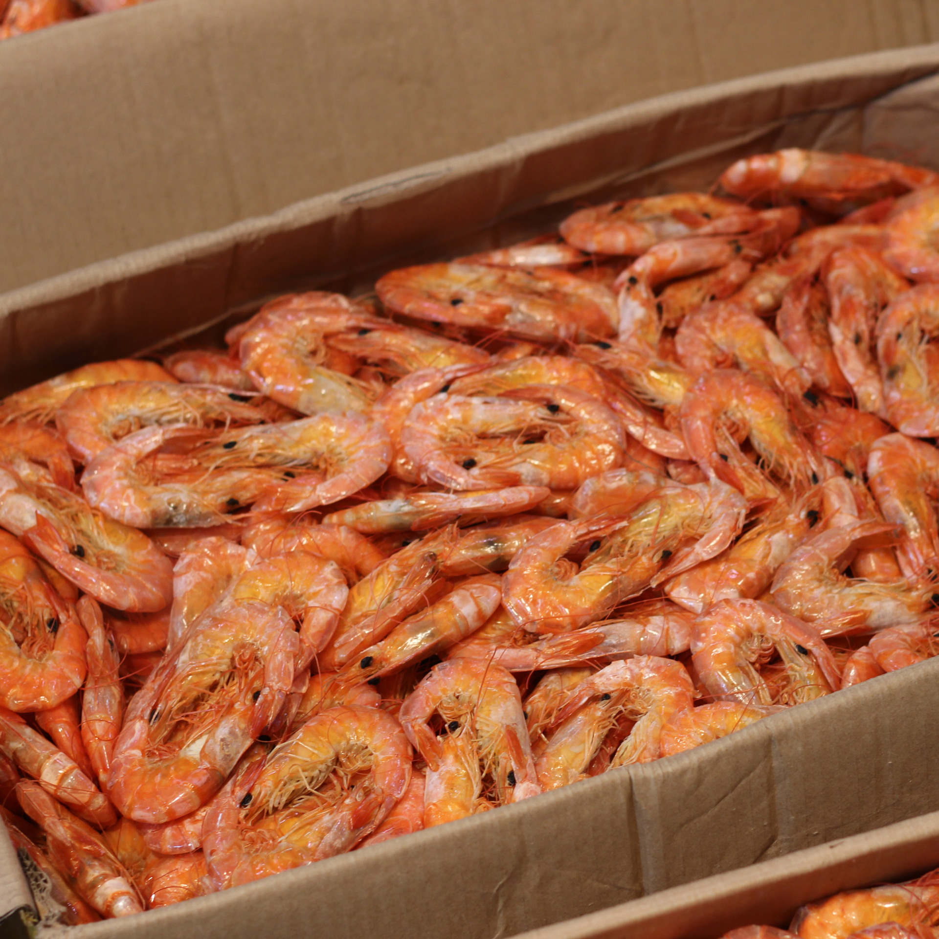 温州特产即食烤虾干110g 海鲜干货烤对虾罐装休闲零食 小.