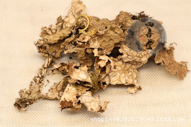 老龙皮 老龙皮 老龙七 石龙皮 石龙衣