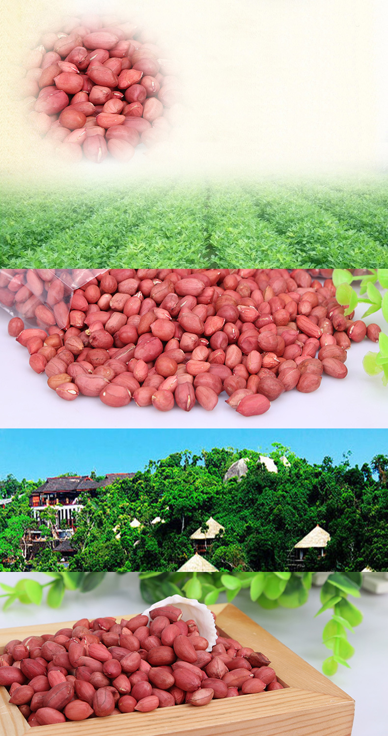 品种 红皮花生 等级 1 用途 食用 杂质&le; 1.