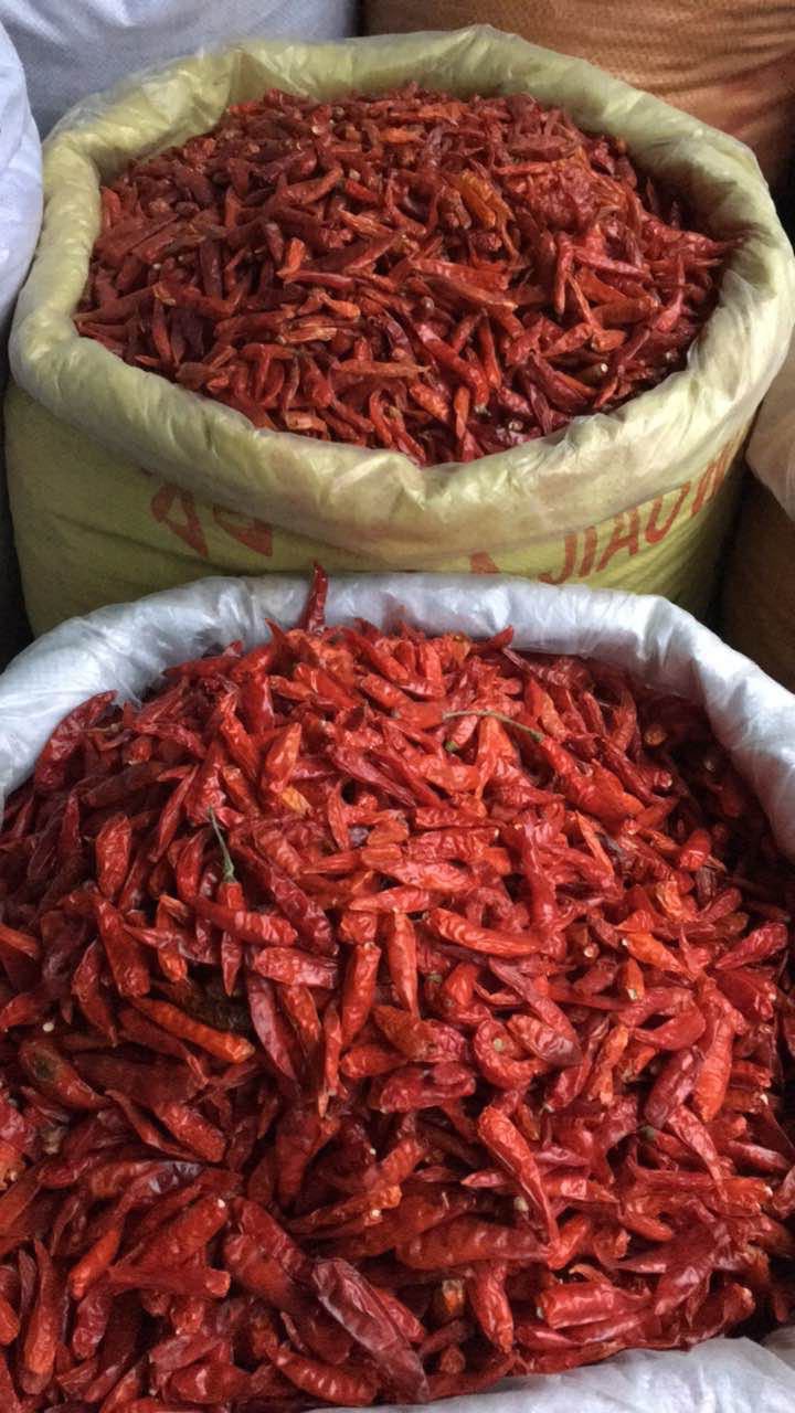 供应越南小米椒,100% 纯干辣椒,价格实惠.