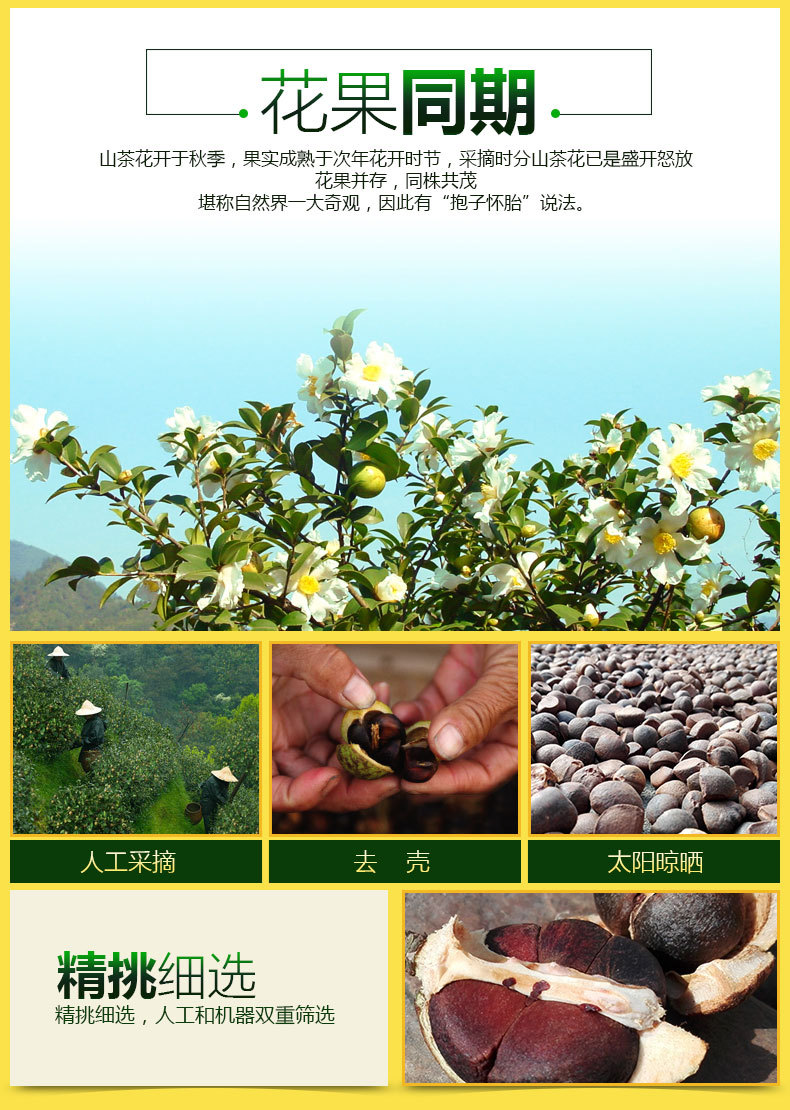 井江野山茶油 食用茶籽油5l 礼盒装 压榨一级 江西特产有机认证