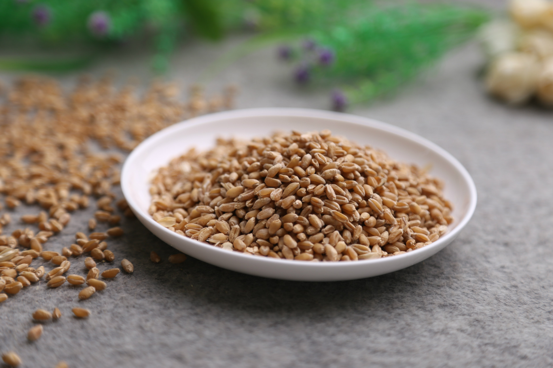 厂家直销 80斤膨化小麦粉 饲料膨化小麦粉 量大更优惠