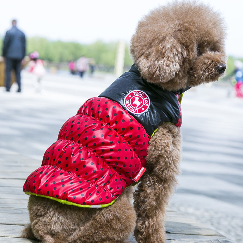 天宠波点拼接马甲 泰迪衣服秋冬装小型犬贵宾幼犬保暖宠物狗衣服