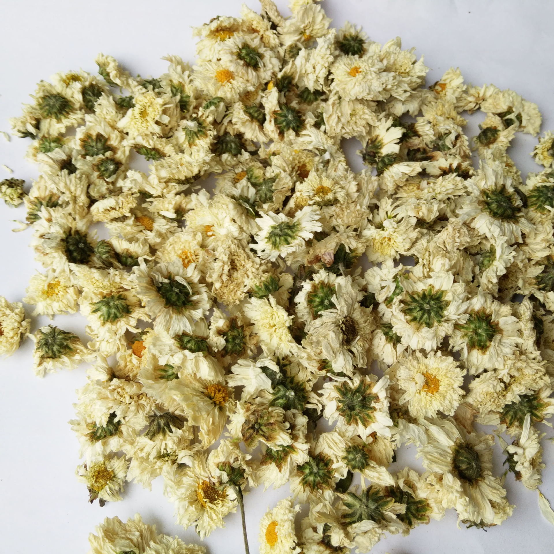 产地直销优质黄山贡菊太阳花太阳菊明目清火白菊花