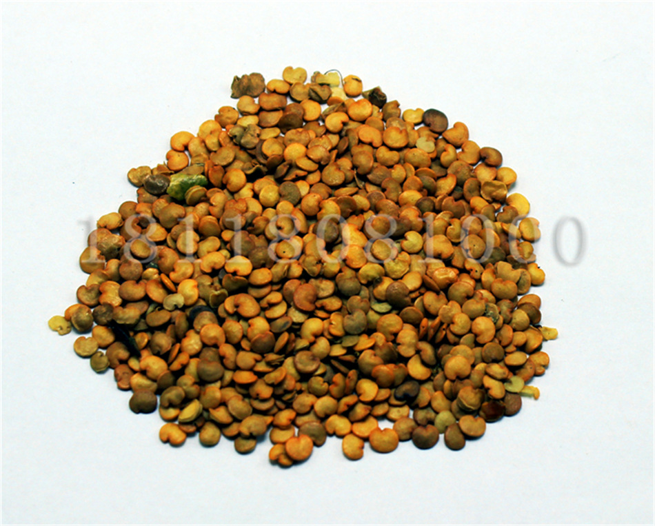 紫红长茄 高产抗病 商品性好 紫茄子种子 长茄子籽 高产优质品种