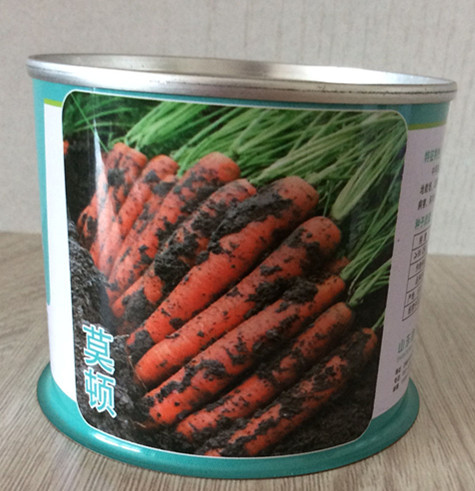 供应日本进口杂交胡萝卜种子莫顿
