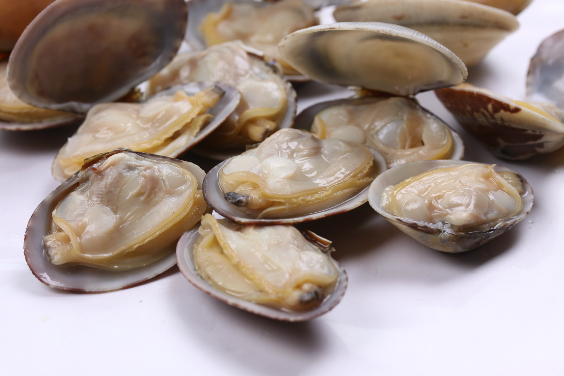 厂家批发真空冻煮即食丹东特产杂色蛤花蛤黑蛤蜊冷冻海鲜500克/袋