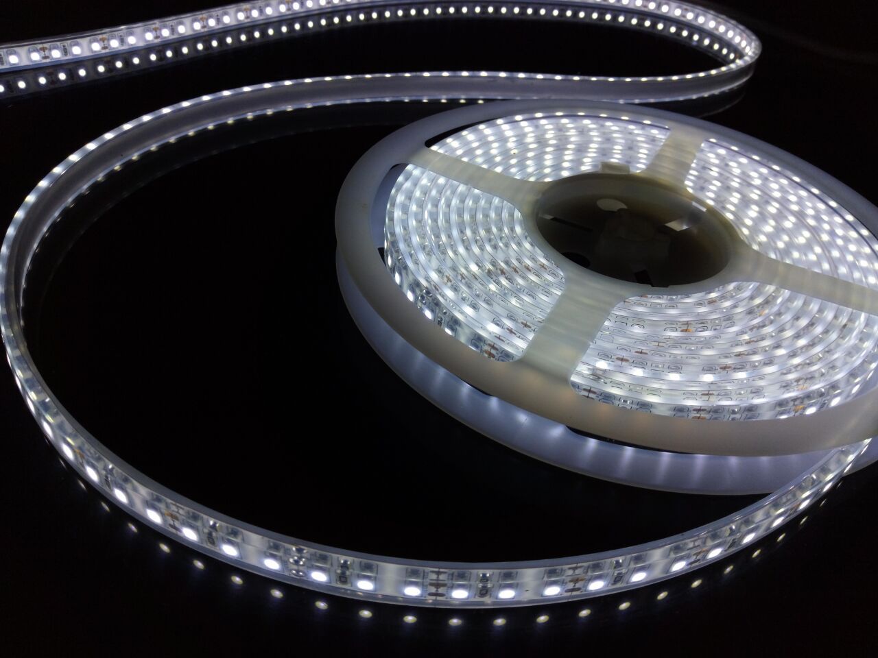 供应信息 led灯带/灯条/灯片 3528 120灯中高端高亮灌胶防水低压灯带