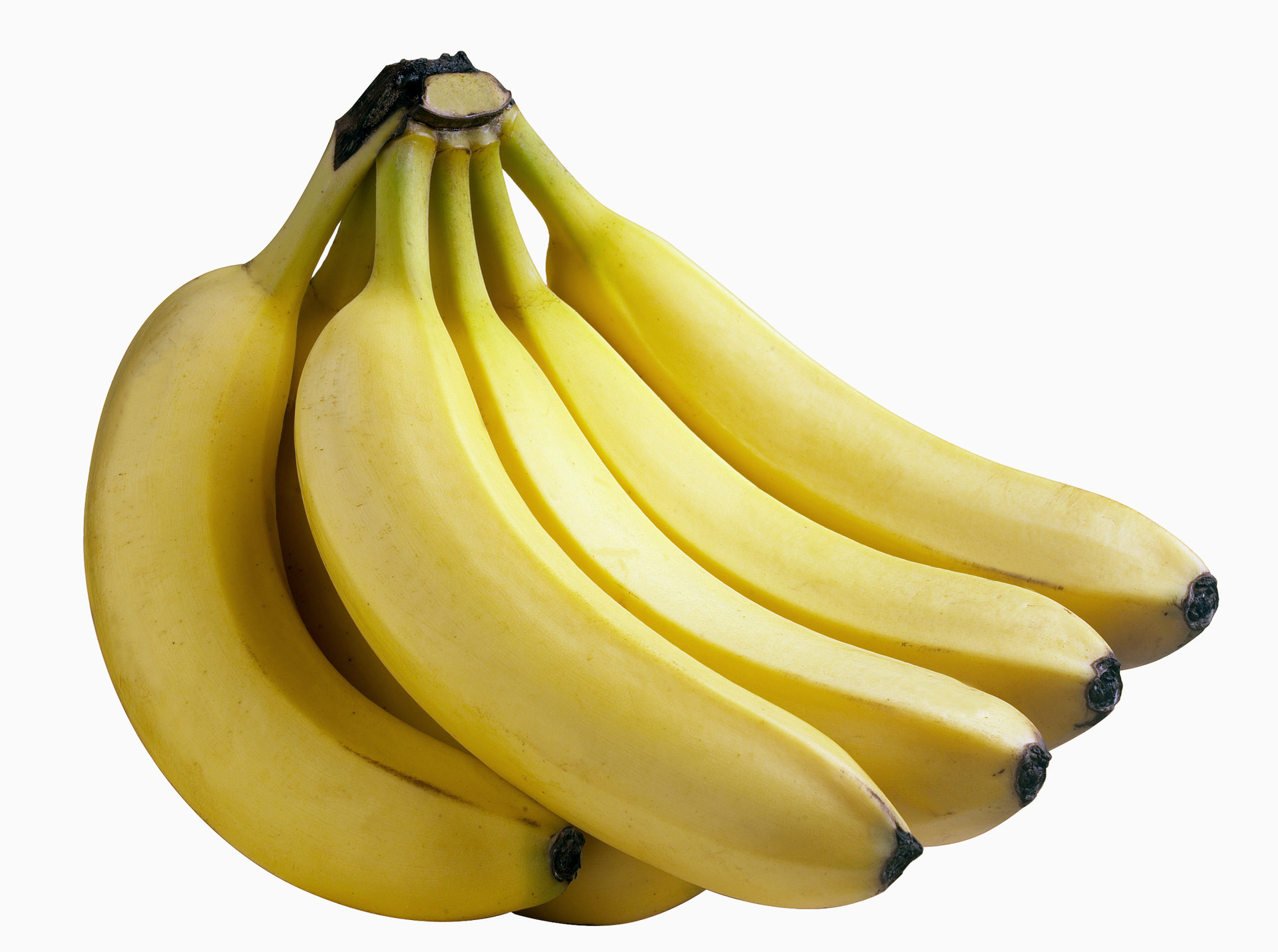 菲律宾进口香蕉