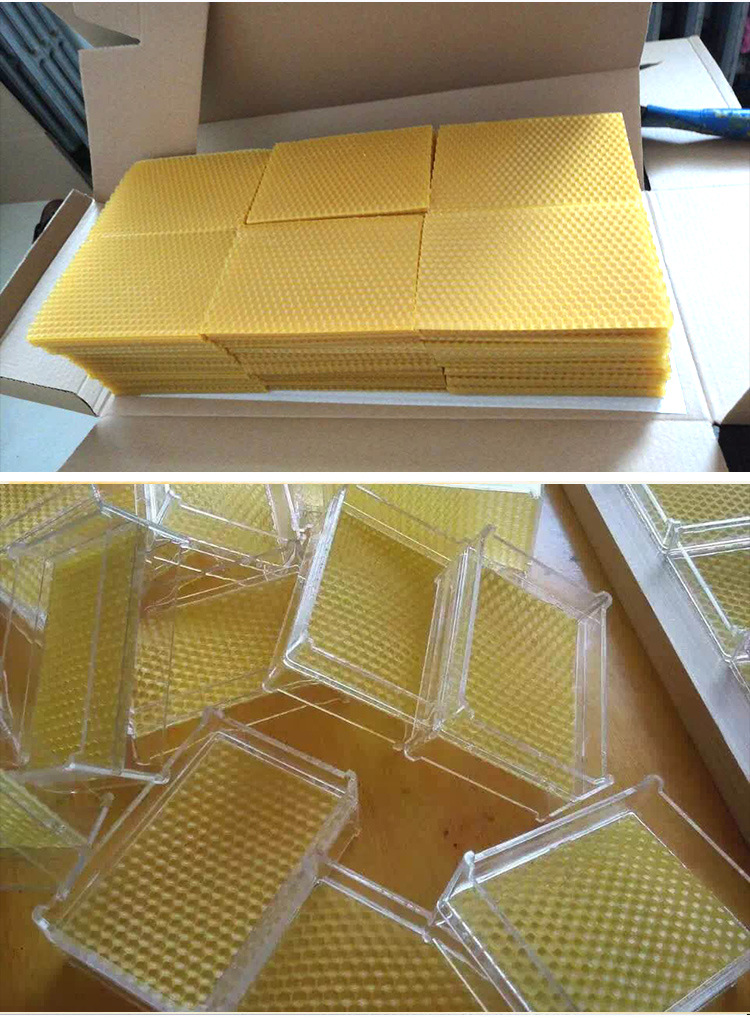 养蜂蜂具批发 中蜂巢础片 蜜蜂养殖专用蜂蜡片巢基蜂巢批发