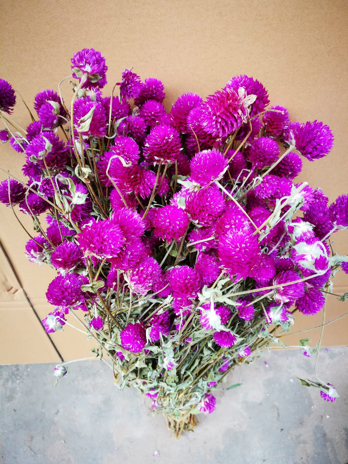 云南干花厂家批发天然干花 带杆千日红干花花束 家居客厅装饰干花