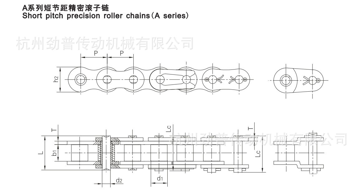 a系列短节距精密滚子链