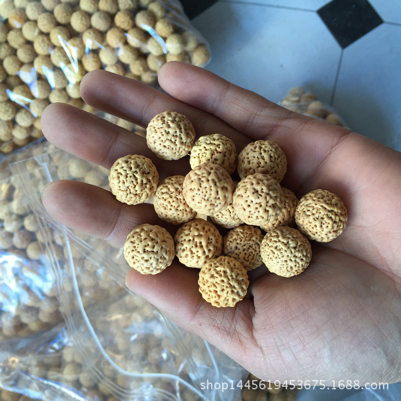  font color=red>佛 /font> font color=red>螺 /font>菩提子原籽散珠